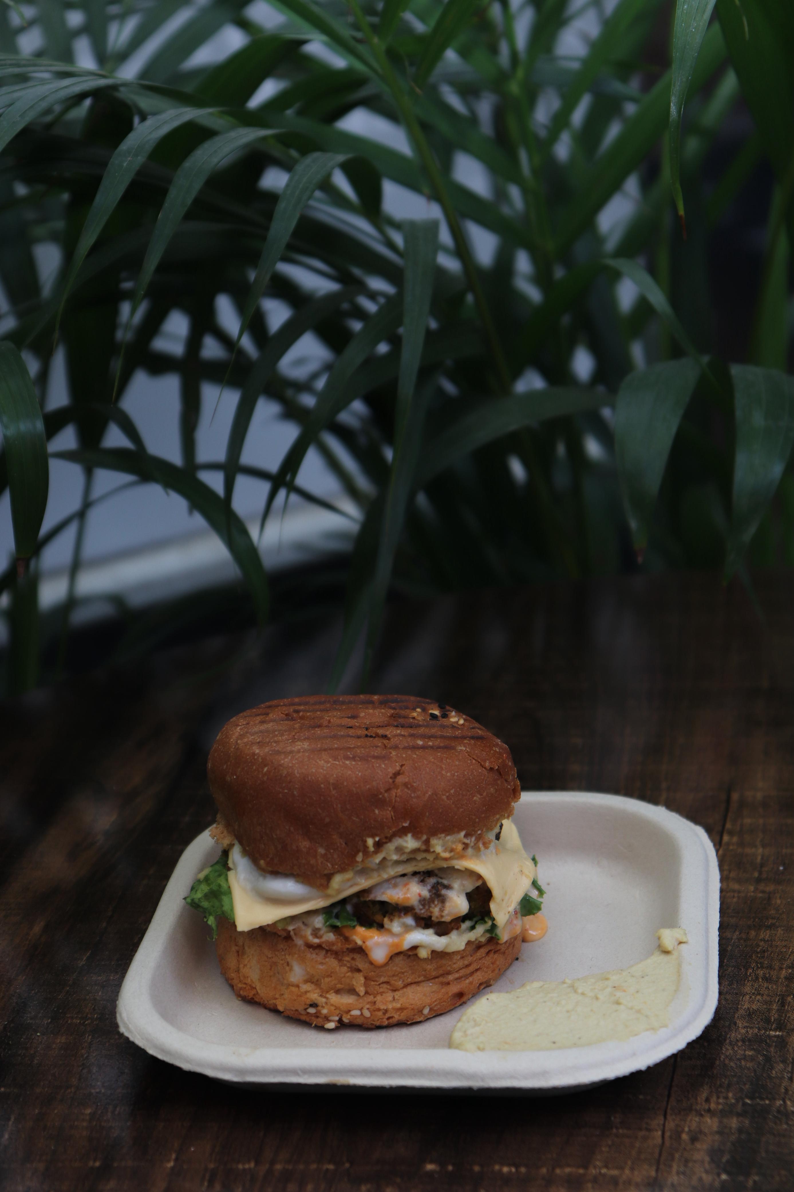 Falafel Burger at Falafel House Jaipur