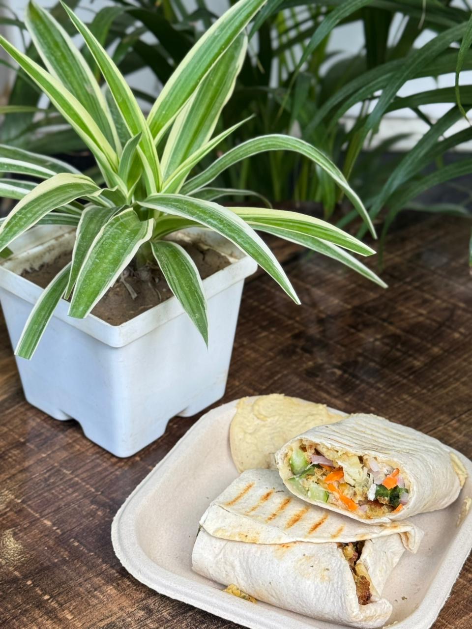 Falafel Roll Plate at Falafel House Jaipur