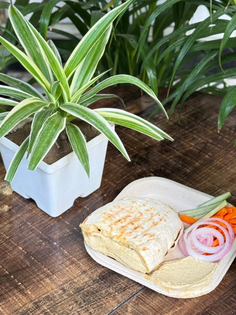 Grilled Wrap and Salad at Falafel House Jaipur