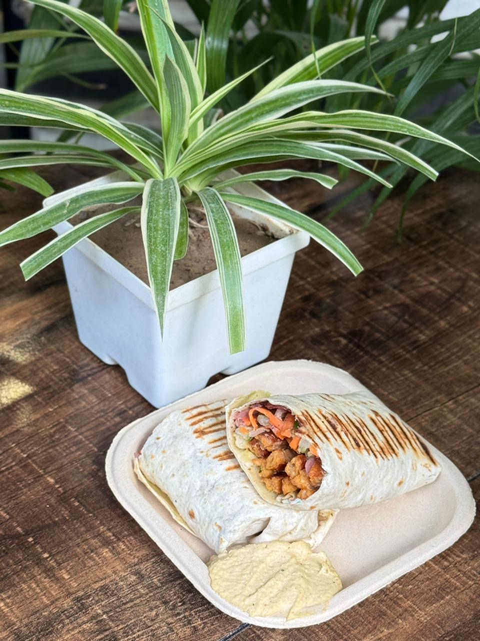 Grilled Wrap Hummus Plate at Falafel House Jaipur