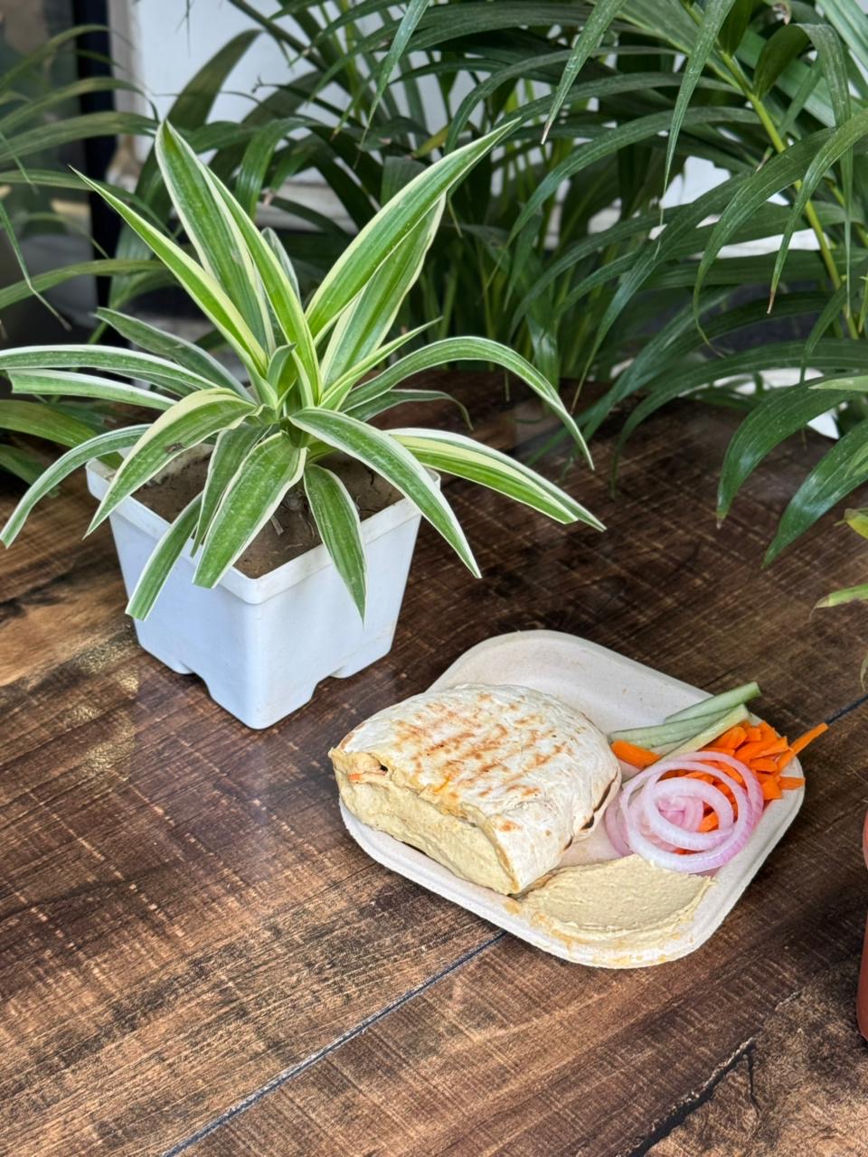 Grilled Wrap Salad Plate at Falafel House Jaipur