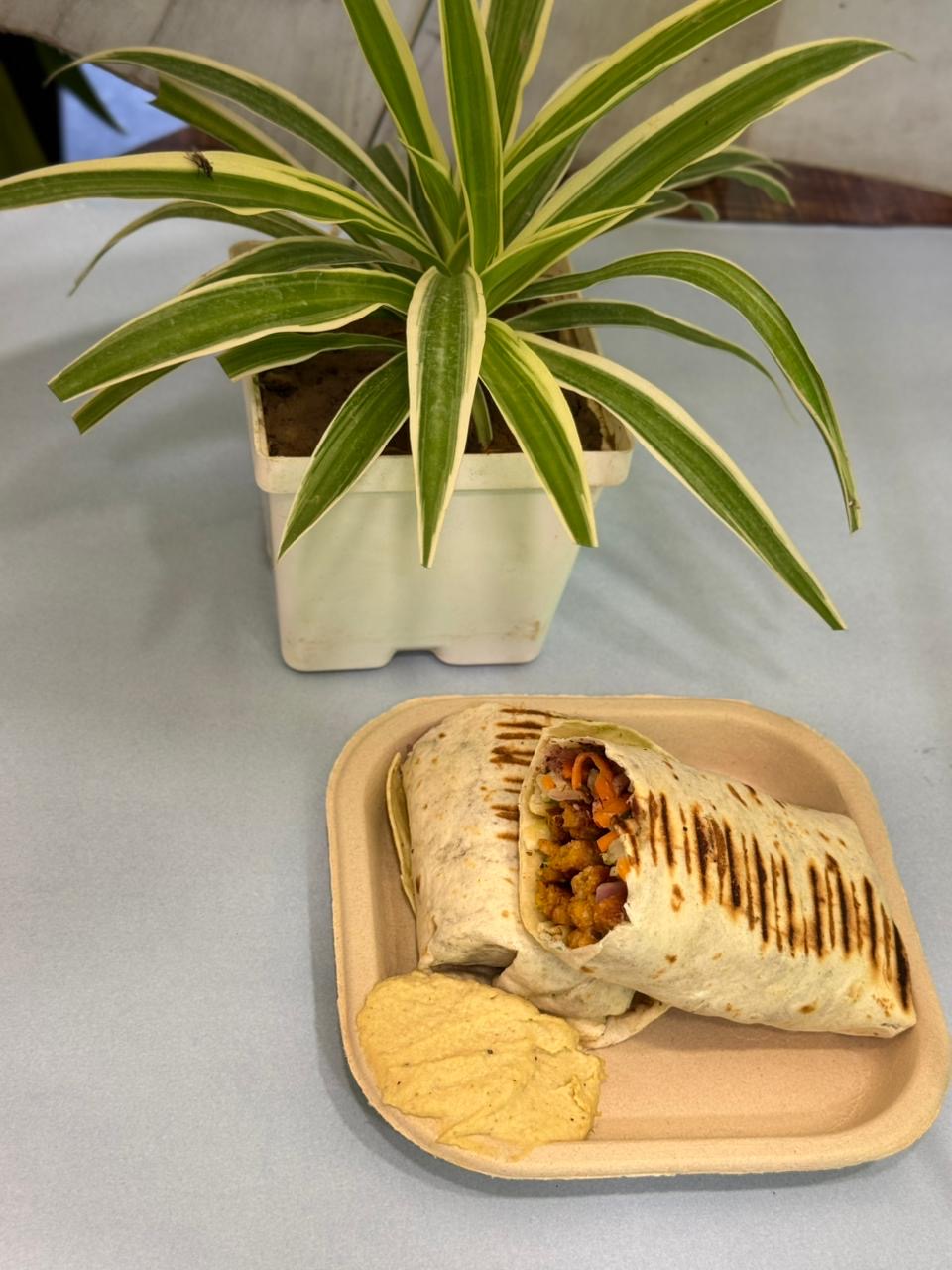 Grilled Wrap with Hummus at Falafel House Jaipur